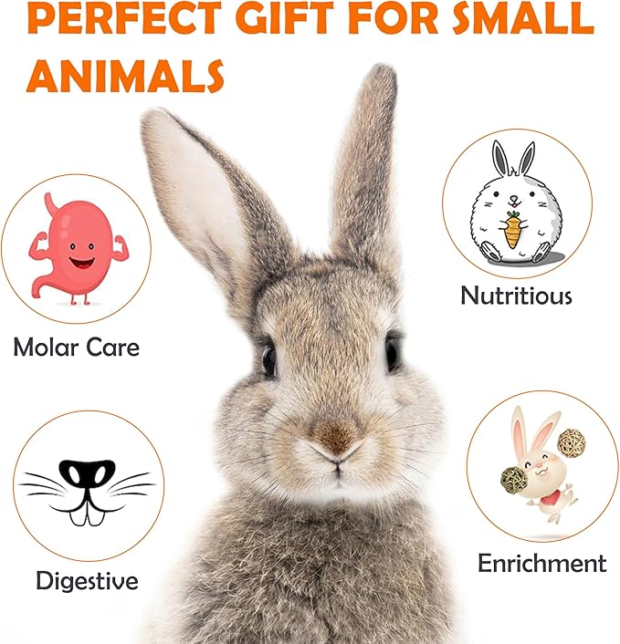 Sofier Timothy Hay Treats Rabbit Toys Bunny Guinea Pig Hamster Natural Chews for Teeth Handmade Rabbit Chews and Treats Chinchilla Rat Gerbil-Mewly Pet