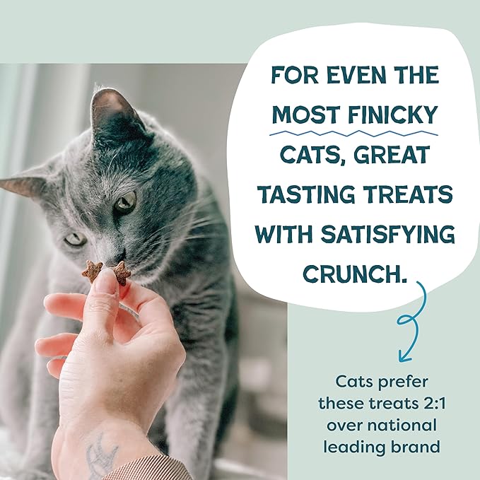 Shameless Pets Crunchy Cat Treats - Catnip Treats for Cats with Digestive Support, Kitten Treats with Real Ingredients, Natural & Healthy Flavored Feline Snacks - Catnip N Chill Tuna, 12 oz-Mewly Pet