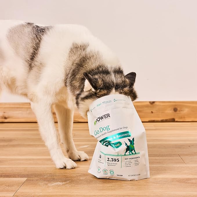 K9 Power Go Dog Hydration & Performance Drink Mix 1 lb - Active Dog Supplement for Muscle Function, Endurance, Recovery, with Electrolytes Support-Mewly Pet