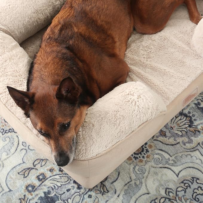 TOWN & COUNTRY EVERYDAY CuddleTown Comfy Solid Bolster Sofa Pet Bed, Supportive & Calming Egg Crate Foam, Non-Slip Bottom, Machine Washable Cover, Beige, Large 35"x25"x8"-Mewly Pet