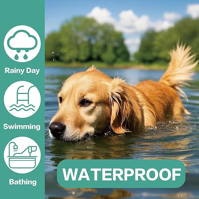 Flea Collar for Dogs, Flea and Tick Prevention for Dogs Collar, Dog Flea and Tick Treatment, 2 Collars, 12 Months Prevention, One Size Fits All-Mewly Pet