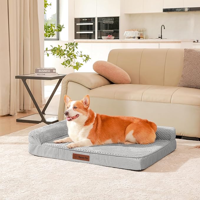 Orthopedic Dog Beds Large Sized Dog, 3 Inch Memory Foam Pet Bed for Medium and Large Dogs, Washable Removable Cover, Nonskid Bottom, Waterproof, 36x27 Inches L Light Grey-Mewly Pet