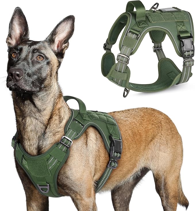 rabbitgoo Tactical Dog Harness for Large Dogs, No Pull Military Service Vest with Handle & Molle, Easy Control for Training Walking, Adjustable Reflective Straps, Green, L-Mewly Pet