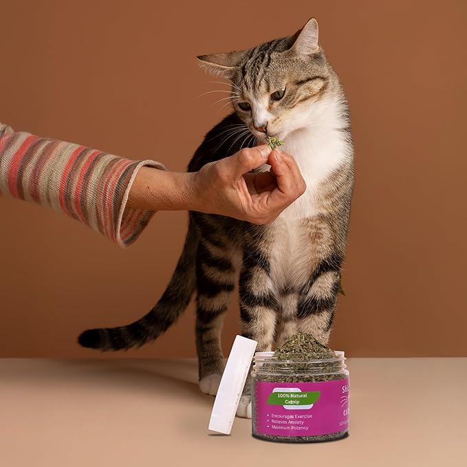 Catnip for Cats with Leaves and Flowers 100% Natural and Organic Catnip Premium Cat Nip for Cats & Kittens Used as a Snack or Refillable Catnip Treats for Cats (1/2 Cup, 2 Ounces)-Mewly Pet