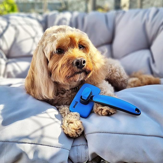 Pecute Self-Cleaning Slicker Brush for Dogs, Cats, Lightweight Dog Brush for Shedding Massaging Grooming, Cat Brush Gently Removes Loose Fur Undercoat for Dogs Cats Rabbits of All Hair Types-Mewly Pet