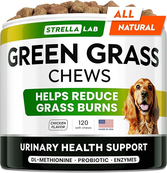 STRELLALAB Green Grass Dog Chews - Dog Pee Grass Helper - Supplement Urine Neutralizer for Grass Burn Spots - Grass Treatment for Pet Urine - Pee Lawn Repair Treats with Probiotics - Made in USA-Mewly Pet