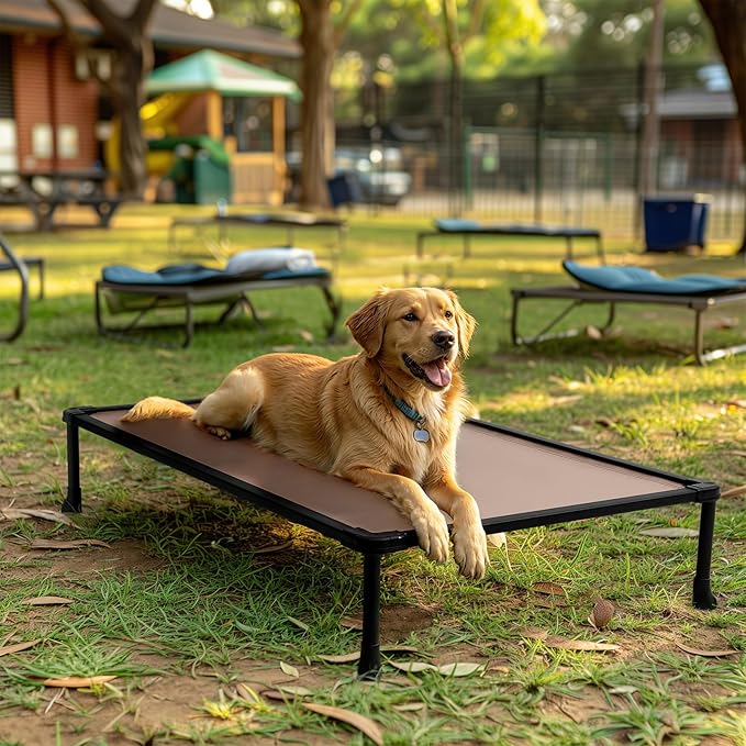Veehoo Chew-Proof Elevated Dog Bed, Durable Training Platform for Large Dogs, Indoor/Outdoor Raised Pet Cot, Brown, 41x27inches, Model CWC2420CP-Mewly Pet