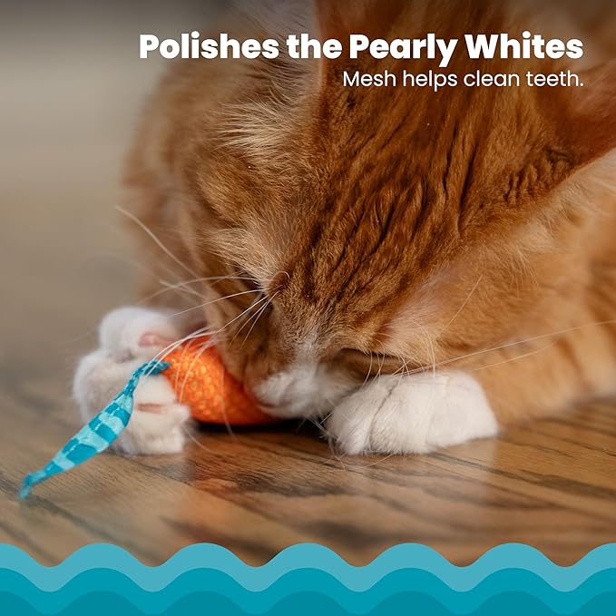 Catstages Catnip Chew Mice 2 Pack– Interactive Dental Cat Chew Toy that Helps Clean Teeth, Mouse, Multicolored-Mewly Pet