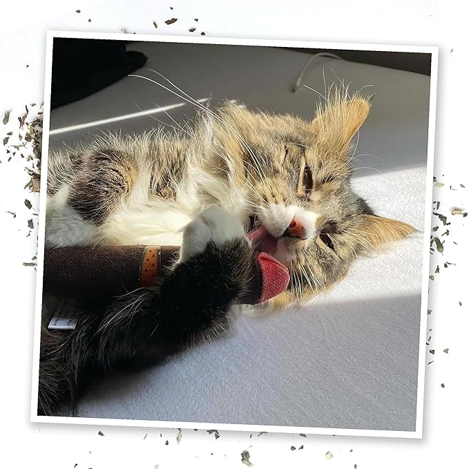 Meowijuana | Catnip Filled Cigar Toy | Promotes Play and Cat Health | Includes Organic Catnip Grown in North America | Feline and Cat Lover Approved-Mewly Pet