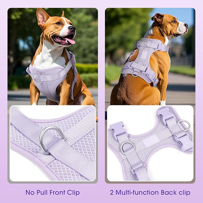Wisedog Mesh Breathable Dog Harness: No Pull Harness with 3 Fast-Release Buckles Adjustable for Walking & Training for Small Medium Large Dogs (Lilac, M: Neck=17"-22"/Chest=15"-28")-Mewly Pet