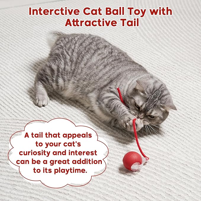 Interactive Cat Toy Dog Toy, Electric Automatic Rolling Moving Toys, Self Activated Play Smart Rolling Ball for Cats & Dogs, Chase Teaser Pet Ball for Bored Indoor Cats/Kittens/Dogs, Rechargeable-Mewly Pet