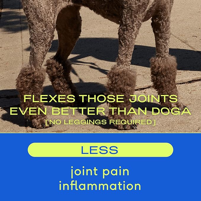 Native Pet Omega Oil for Dogs - Dog Fish Oil Supplements & Relief - Anti-Inflammatory Chews for Dogs | 60 Dog Chews | 8 oz. Omega Oil | Best Dog Arthritis Supplement & Dog Joint Pain Relief-Mewly Pet