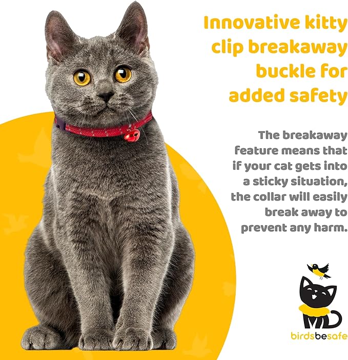 BirdsBeSafe® Break Away Cat Collar with Bell, Reflective Thread for Night Visibility, Comfortable Elastic Stretch Cat Collar to Protect Cat from Getting Stuck in The Garden.-Mewly Pet