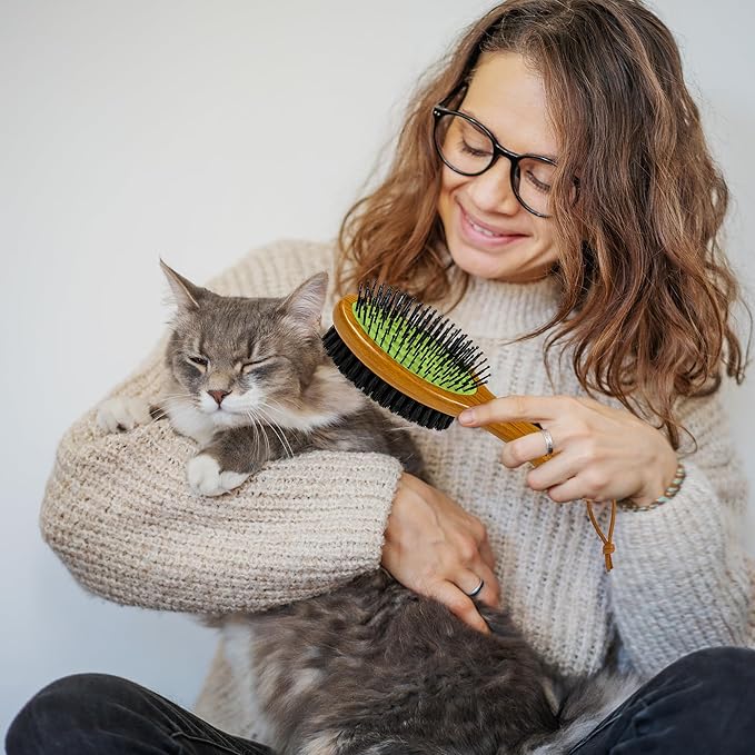 TAKAVU Pin & Bristle Pet Brush for Dogs & Cats - Double Sided Grooming Tool Detangles, Removes Loose Hair & Conditions Coat - Wood Handle-Mewly Pet