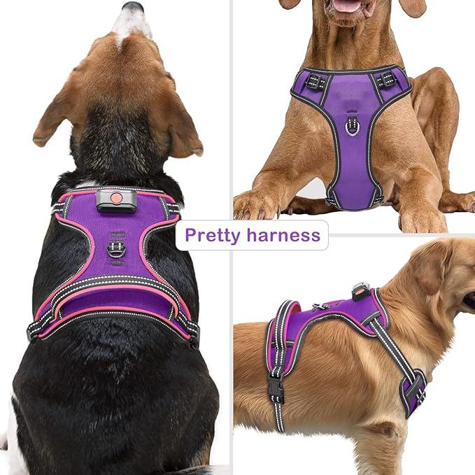 Light Up Dog Harness, No Pull LED Dog Harness with Handle, Rechargeable Lighted Safety Vest for Small Medium Large Dogs, Adjustable Soft Dog Lights for Night Walking-Mewly Pet