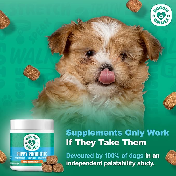 Doggie Dailies Puppy Probiotic, Probiotics for Puppies with Digestive Enzymes, Promotes Digestive Health, Supports Immune System & Overall Development (Pumpkin) 120 Soft Chews-Mewly Pet