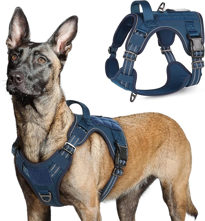 rabbitgoo Tactical Dog Harness for Large Dogs, No Pull Military Service Vest with Handle & Molle, Easy Control for Training Walking, Adjustable Reflective Straps, Blue, L-Mewly Pet