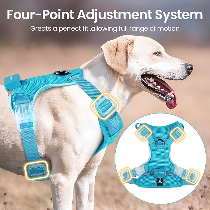 Light Up Dog Harness,Reflective Pet Harness Rechargeable,Led Dog Vest Harness for Night Walking,Adjustable Dog Safety Vest for Small Medium Large Dogs-No Pull,Blue,M-Mewly Pet