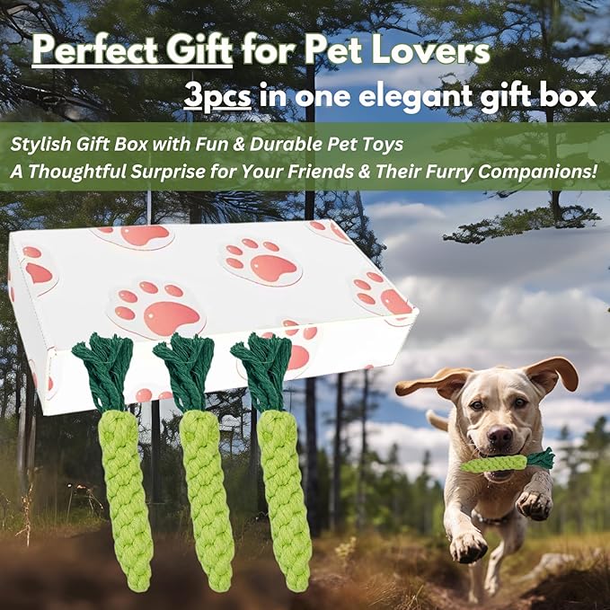 3PCS Green Woven Pet Chew Set, Dog Chew Accessories, Cat Interactive Chews, Safe & Durable Braided Chews for Dogs, Cats & More Pets-Mewly Pet