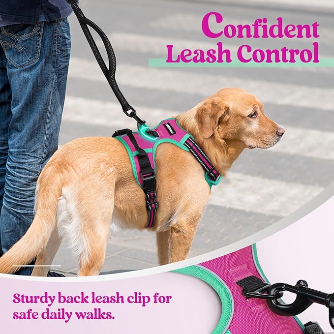 rabbitgoo Dog Harness No Pull with 2 Leash Clips, Adjustable Soft Padded, Reflective Oxford No Choke Pet Vest with Easy Control Handle for Large Dogs, Hot Pink & Turquoise, S-Mewly Pet