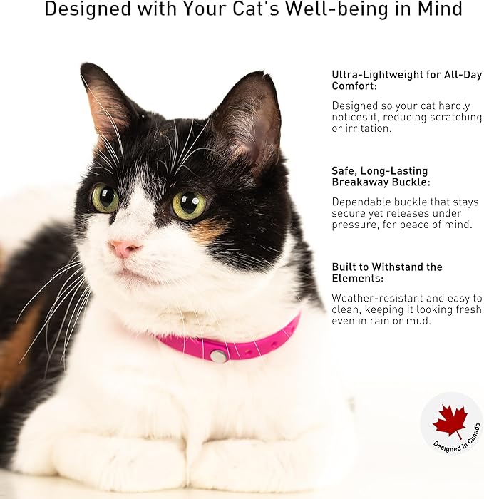 Breakaway Cat Collar - Soft, Comfortable, and Lightweight Safety Buckle Collar with Name Tag Ring for Outdoor Cats and Sensitive Skin Kittens by Nuvuq (6 ⅞" to 10 ¼", Pink)-Mewly Pet