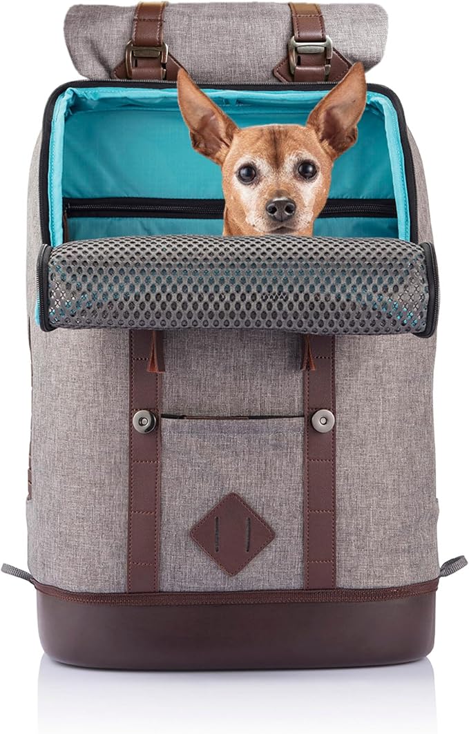 Kurgo Dog Carrier Backpack for Small Pets - Dogs & Cats | TSA Airline Approved | Cat | Hiking or Travel | Waterproof Bottom | G-Train | Ruck Sack | Heather Grey-Mewly Pet
