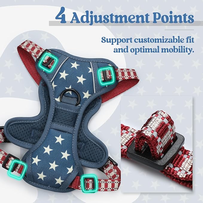 rabbitgoo Dog Harness No Pull with 2 Leash Clips, Adjustable Soft Padded, Reflective Oxford No Choke Pet Vest with Easy Control Handle for Large Dogs, Blue Star, XS-Mewly Pet