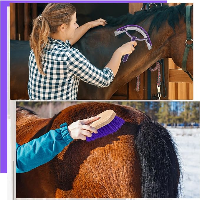 Abbylike 12 Pieces Horse Grooming Kit Racing Festival Tack Room Supplies Horse Brush Sets Equine Care Cleaning Kit Shedding Grooming Massaging Tools(Gray and Purple)-Mewly Pet