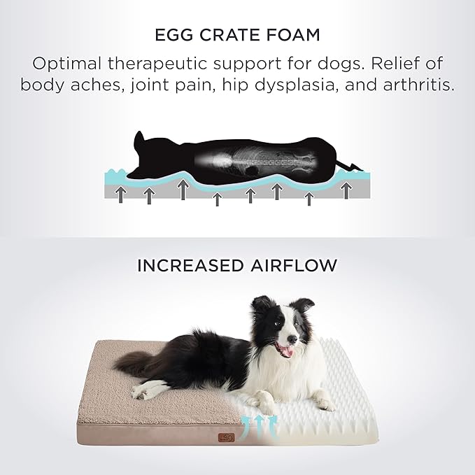 Bedsure Dog Beds Large Sized Dog - Extra-Large Orthopedic Waterproof Puppy Bed with Removable Washable Cover, Egg Crate Foam Pet Mat, Suitable for Pet Up to 100 lbs-Mewly Pet