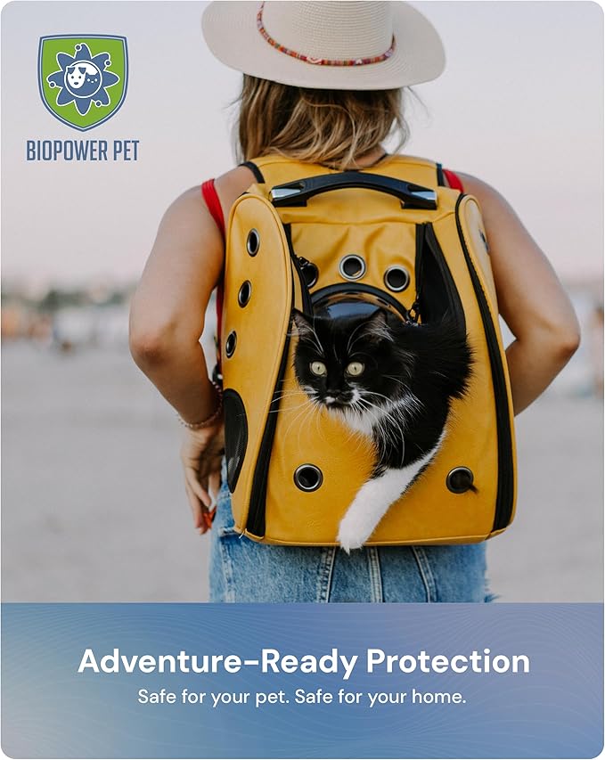 Natural Flea & Tick Repellent Collar Tag for Dogs & Cats – BioPower Pet Shield – Safe for Pets When Used as Directed – Lasts 1 Full Year - Regular Tag (3Pack)-Mewly Pet