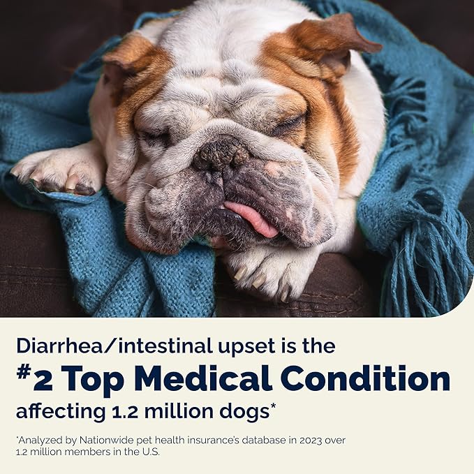 Vetnique Glandex Daily Probiotics for Dogs with Prebiotics to Support Gut Health with Fiber and Digestive Enzymes, Probiotic Chews or Powders (4.25oz Powder, Pork Powder)-Mewly Pet