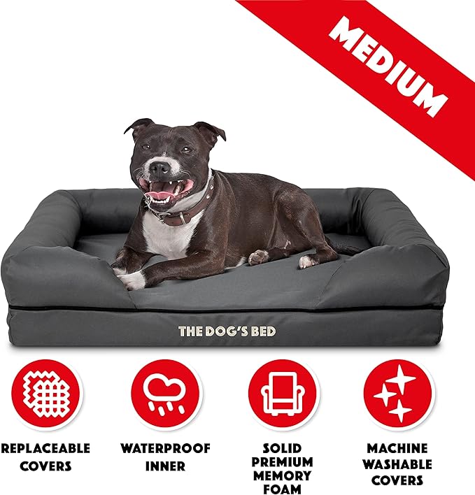The Dog’s Bed Medium Oxford Grey 30x23.5, Memory Foam, Pain Relief: Arthritis, Hip & Elbow Dysplasia, Post Surgery, Lameness, Supportive, Calming, Waterproof Washable Cover, Veterinary Approved-Mewly Pet