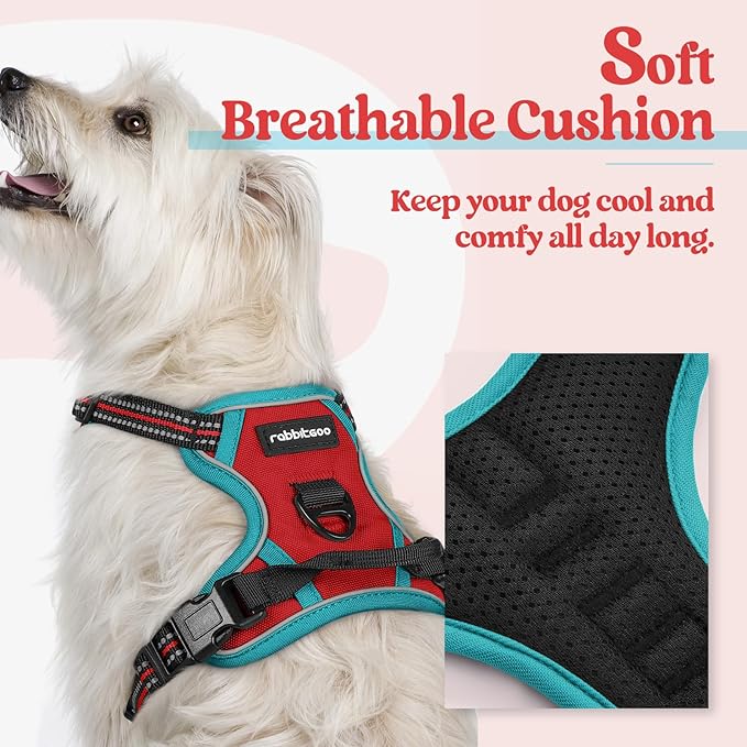 rabbitgoo Dog Harness No Pull with 2 Leash Clips, Adjustable Soft Padded, Reflective Oxford No Choke Pet Vest with Easy Control Handle for Puppy, Red & Teal, XS-Mewly Pet