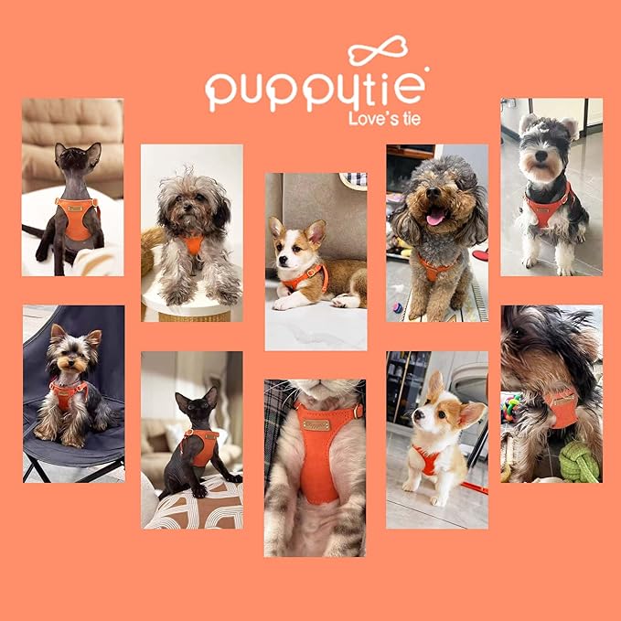 Puppytie No Pull xs Dog Harness with Multifunction Dog Leash,Soft Adjustable No Choke Escape Proof Pet Harness Vest,Orange,XS-Mewly Pet