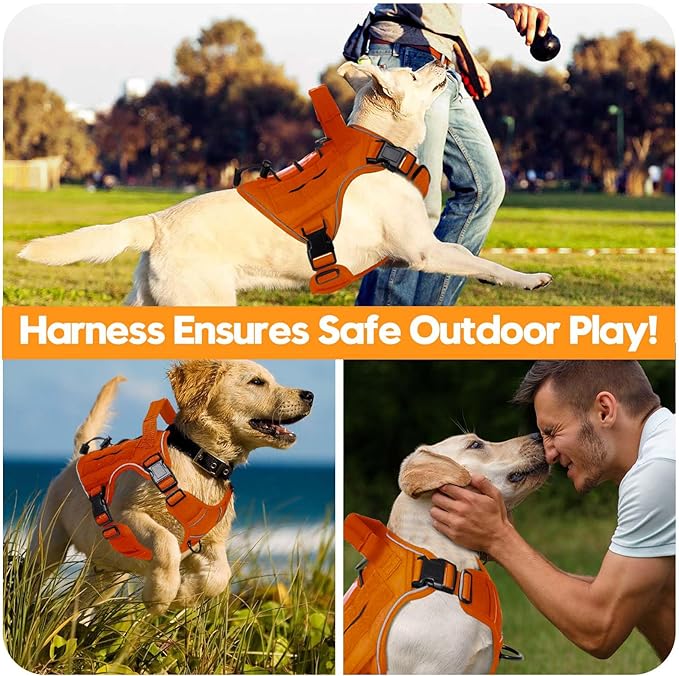 Heavy-Duty Tactical Dog Harness for Large Dogs, No Pull Adjustable Reflective Pet Vest with Molle System, K9 Military-Grade Control for Service Training, Outdoor & 10+ Breeds, Orange, Medium-Mewly Pet
