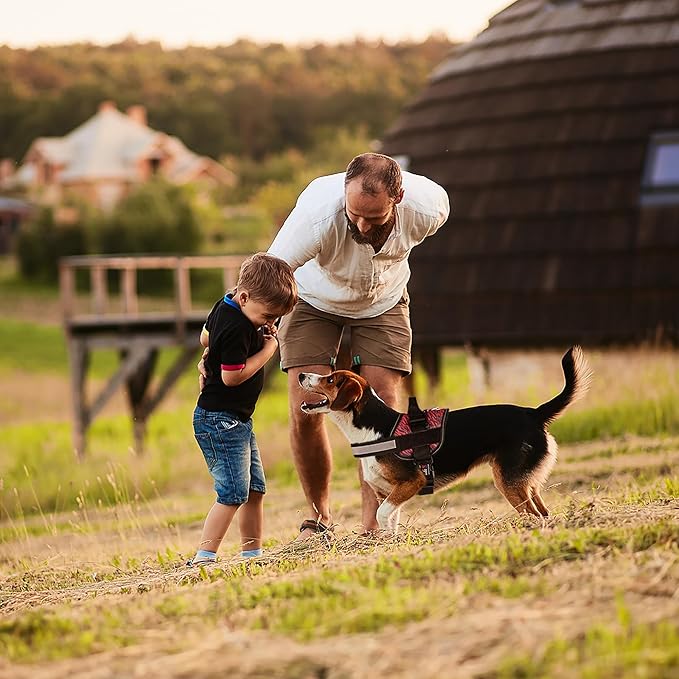 Dogline Dog Harness, Reflective No-Pull Adjustable Vest with Handle for Walking, Training, Breathable, No - Choke Harness for Small, Medium or Large Dogs Room for Patches Zebra Black/Red L 27"-34"-Mewly Pet