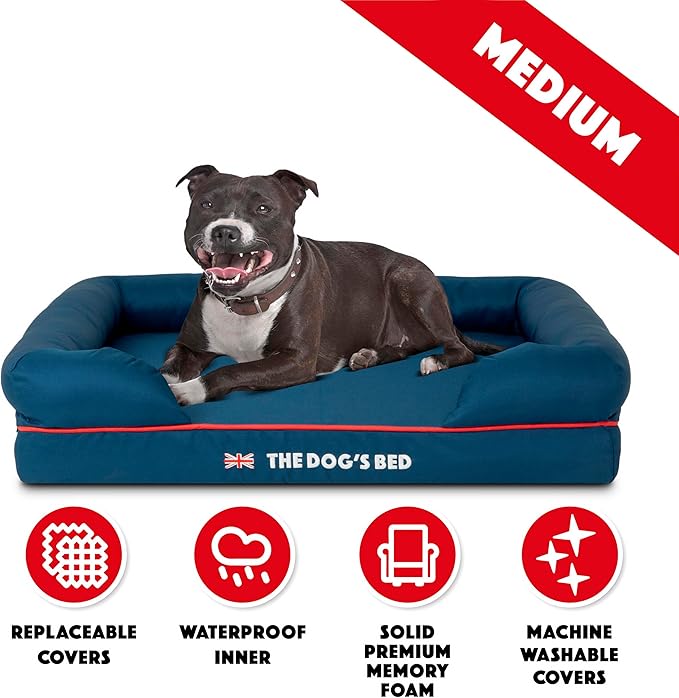 The Dog’s Bed Orthopedic Dog Bed Medium Blue Oxford with Red Trim UK Flag Dog Bed 30x23.5, Memory Foam, Pain Relief, Post Surgery, Lameness, Veterinary Approved, Waterproof Washable Cover Cover-Mewly Pet