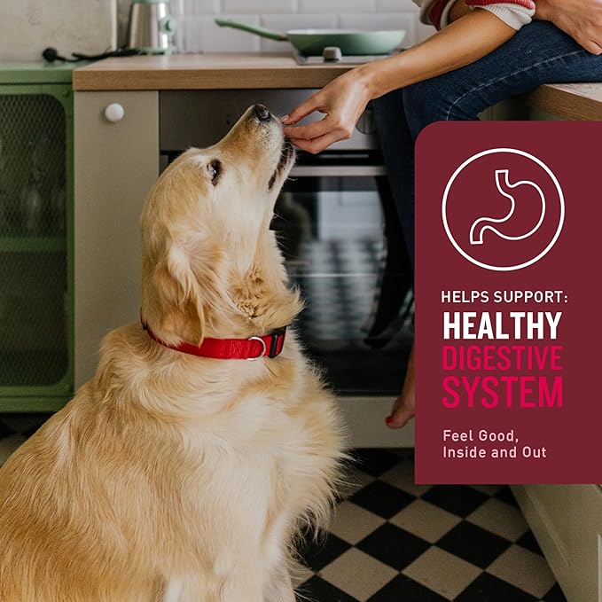 VetIQ Multivitamin Supplement for Dogs, Supports Active Brain Function, Immune System, and Digestive System, Hickory Smoke Flavored Dog Multivitamin, Made in The USA, 60 Count (Pack of 2)-Mewly Pet