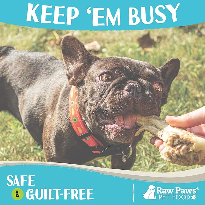 Raw Paws Freeze Dried Duck Necks for Dogs, 5-oz - Made in USA - All Natural Duck Dog Treats - Single Ingredient-Mewly Pet