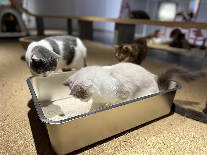 IKITCHEN Stainless Steel Cat Litter Box, Large Metal Litter Box for Cats, Never Absorbs Odors,Stain Free, Rustproof, Non Stick Smooth Surface 23.5" L x 15.5" W x 6" H-Mewly Pet
