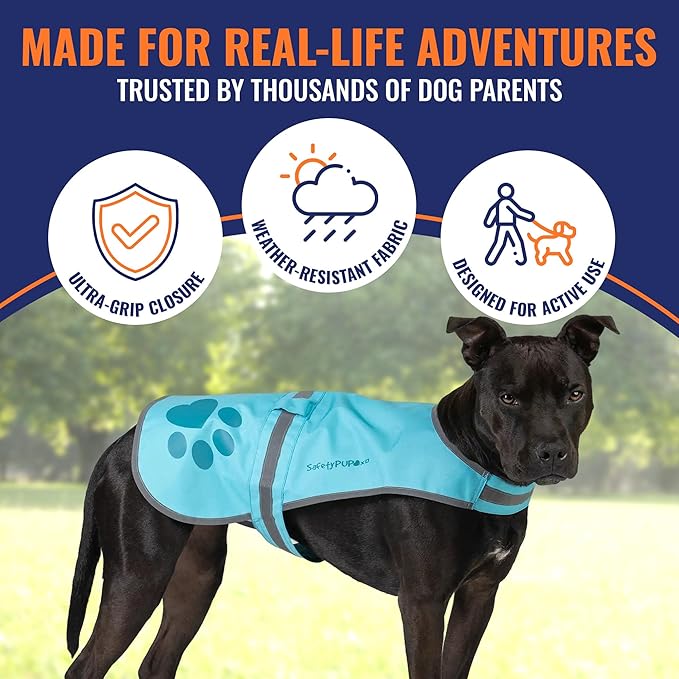Dog Reflective Vest – Hi-Vis Fluorescent Visibility That Helps to Safeguard Your Pet On/Off Leash in Urban & Rural Areas (Teal, X-Small)-Mewly Pet