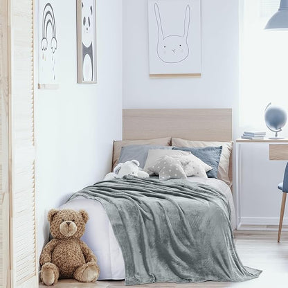 Utopia Bedding Fleece Blanket Queen Size Ash Grey 300GSM Luxury Fuzzy Soft Anti-Static Microfiber Bed Blanket (90x90 Inch)