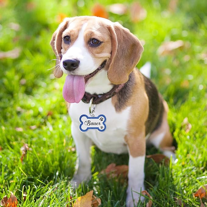 Dog Tags Personalized for Pets Dog Name Tags Personalized Dog Tag Engraved with Any Name & Text Custom Dog ID Tags Glitter Bone ID Tag for Puppy Cat (Pink S, Bone)-Mewly Pet