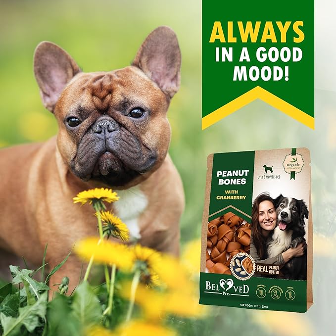 Dog Treats Peanut Butter Bones with Cranberry & Rawhide Free Chew 11 Oz - Pet Natural Mini & Big Snacks Healthy Collagen & Bulk Best Chews for Small & Large Dogs - Made for USA (Peanut Butter)-Mewly Pet