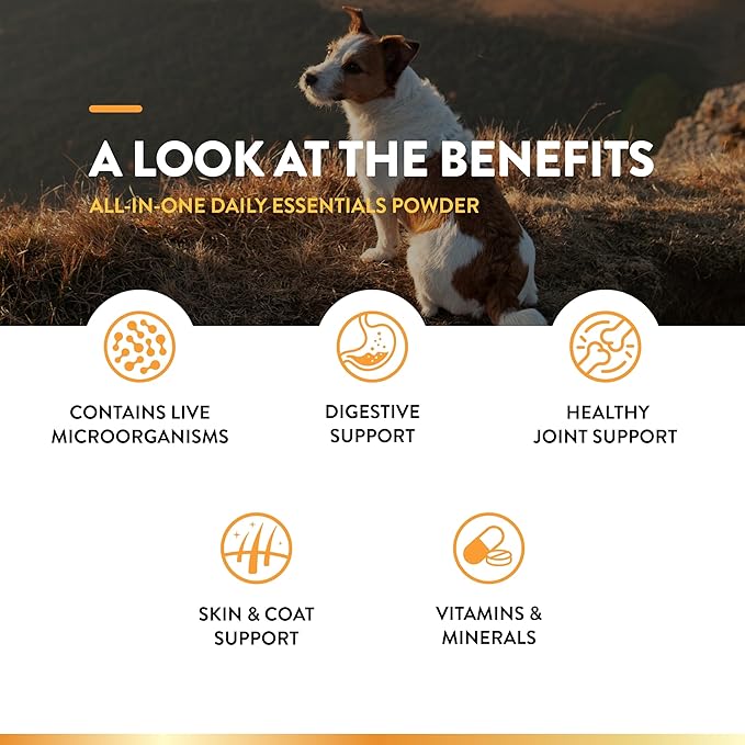 NaturVet All-in-One Dog Supplement - for Joint Support, Digestion, Skin, Coat Care – Dog Multivitamins with Minerals, Omega-3, 6, 9 – Wheat-Free Vitamins for Dogs – 13-Ounce Powder-Mewly Pet