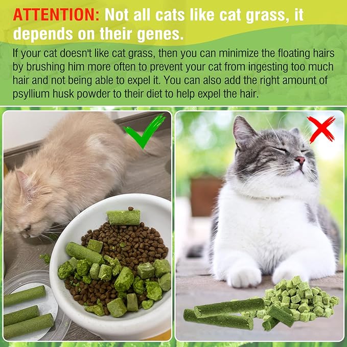 225g Cat Grass Teething Stick, Delicious Cat Treat Snack Edible Cat Chew Toy for Teeth Cleaning and Hairball Removal in Cats-Mewly Pet