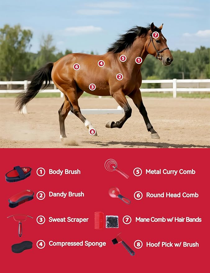 9PCS Horse Grooming Kit Curry Comb Sweat Scraper Horse Bathing Supplies Grooming Tools with Storage Bag Shadowberry-Mewly Pet