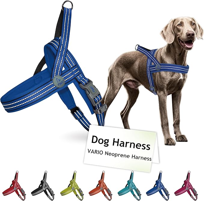 DOCO No-Pull Dog Harness Halter Reflective Easy-Control Harness for Training, Walking, and Preventing Pulling, Ideal for Medium Dogs(Navy Blue)-Mewly Pet