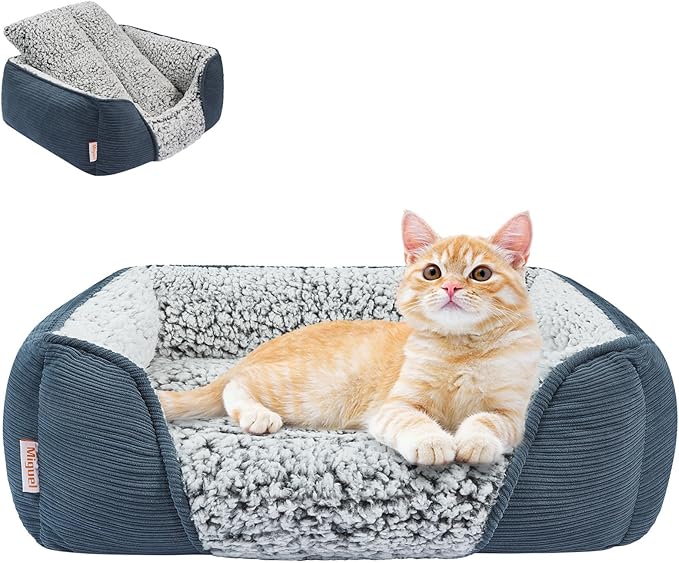 Miguel Washable Cat Bed for Indoor Cats With Removable Cushion, Easy to Wash Small Pet Sofa With Side, Rectangle Bolster Kitten Calming Cuddle Puppy Bed, Anti-Slip Bottom, Blue 20 Inch-Mewly Pet