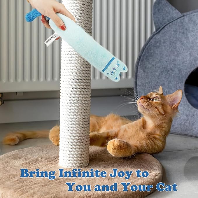 Pawaboo Cat Toys, 2 Pack Catnip Toys with Bell and Crinkle Paper, Soft and Durable Kitten Toys, Interactive Cat Toys for Indoor Cats, Cat Plush Kicker Toys for Kittens Kitty, Cute Cat Stuff-Mewly Pet